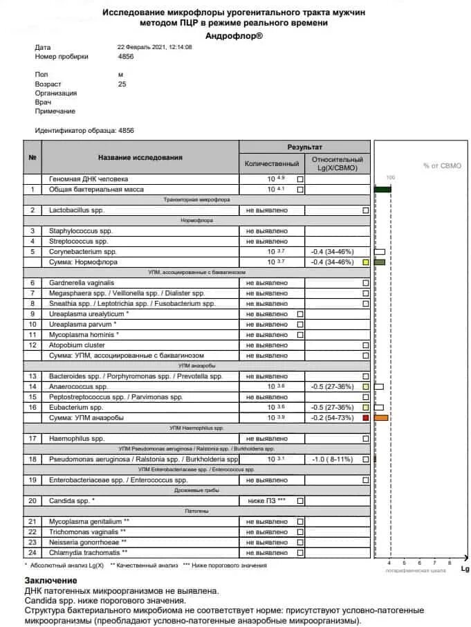 Ввк у женщин. Кандида спп что это. Candida spp микробиология. Кандида спп что это. Кандида микробиология питательные среды.