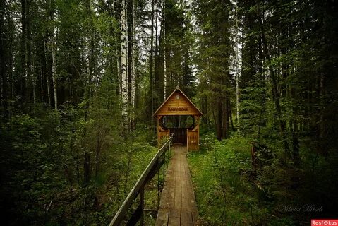 Ключи лес
