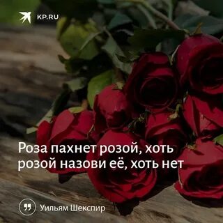 Что значит имя хоть розой назови