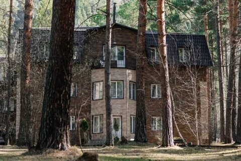 Алтай сиеста горный алтай