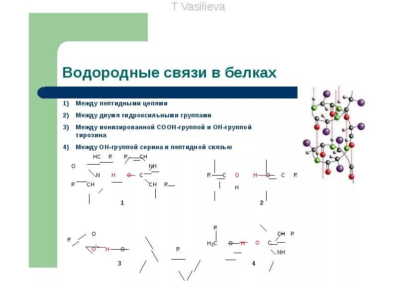 Определите число водородных связей