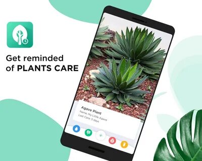 Plant приложение
