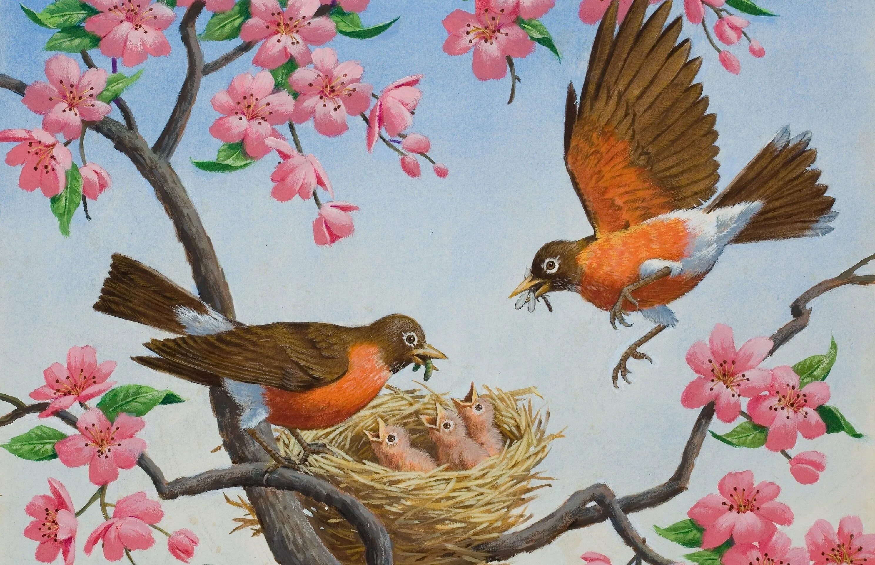 Животные и птицы весной подготовительная группа. Птицы. Весенние птицы. Весенняя картина для детей. Весенние сюжеты.