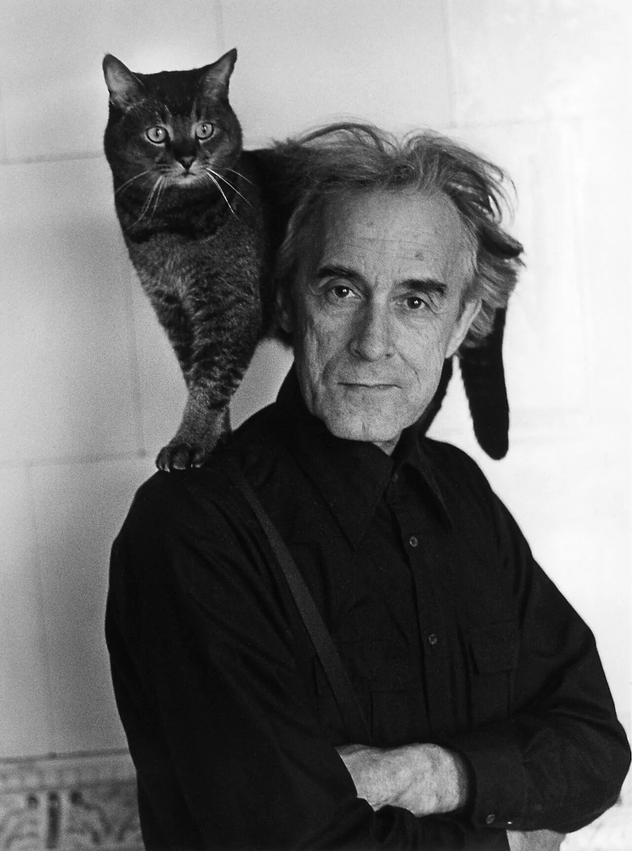 Дуэйн джонсон гриффины. Алан рикман с котом. Русик (кот) знаменитые кошачьи. Алан рикман. Кошки знаменитостей.