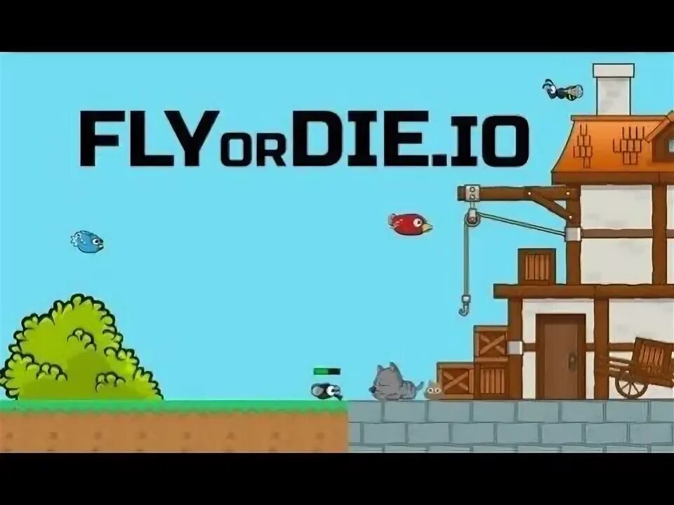 Читы на флай ор дай. Игру Флай ор. Игра Fly or die io. Fly or die io читы. Картинки FLYORDIE.