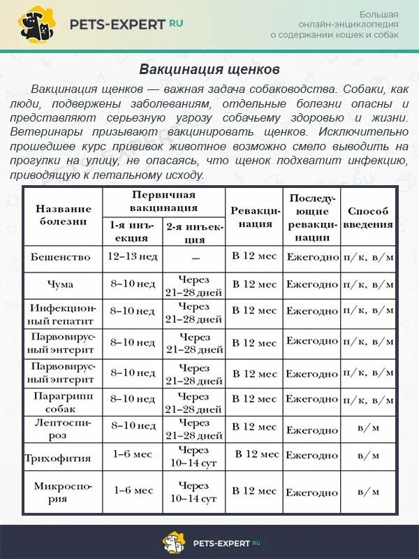 Через сколько дней прививку после глистогонки