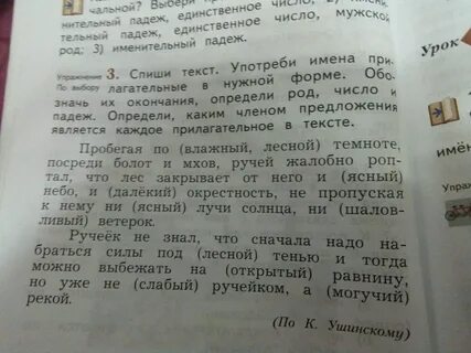 Пробегая по влажной лесной темноте