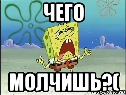 Что нибудь что молчишь. Чего молчишь. чего молчишь картинки. молчать картинка. чего молчишь мем.