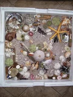 Ракушки хранить дома