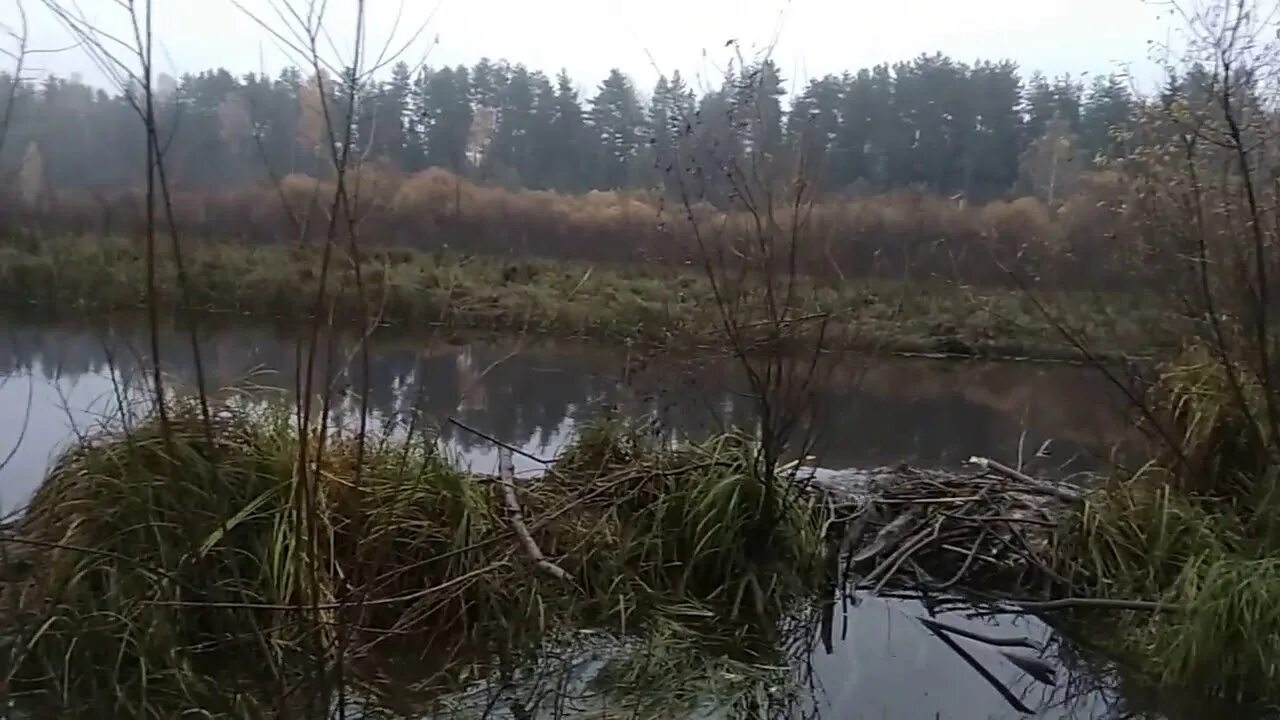 Спасское на моломе кировская область. Спасское на моломе кировская область