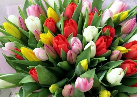 Адрес весенние 12 цветы