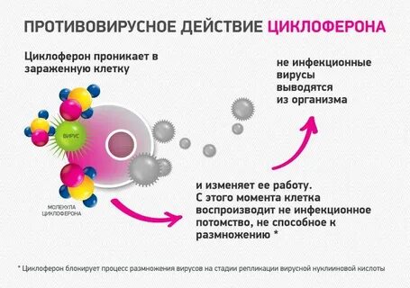Противовирусные механизм действия