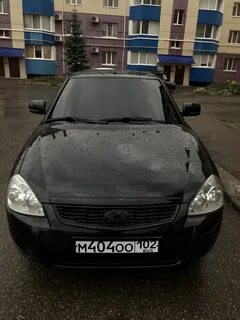 Черный с тонированной мордой