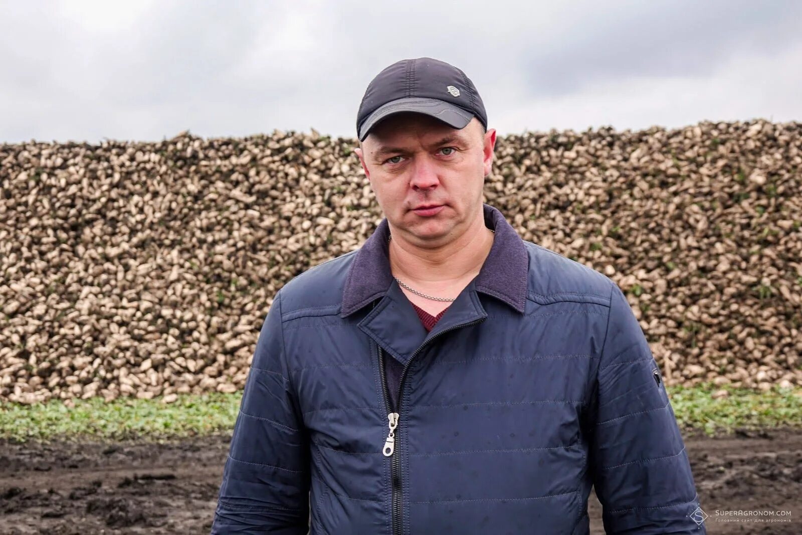 Главный агроном. Агроном зарплата. Главный агроном. Агроном картина. Оао агроном динской район.