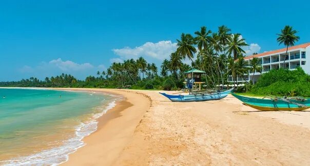 Shinagawa отель шри ланка. Balapitiya beach шри ланка. Shinagawa beach шри ланка. Shinagawa beach шри ланка. Shinagawa beach шри ланка.