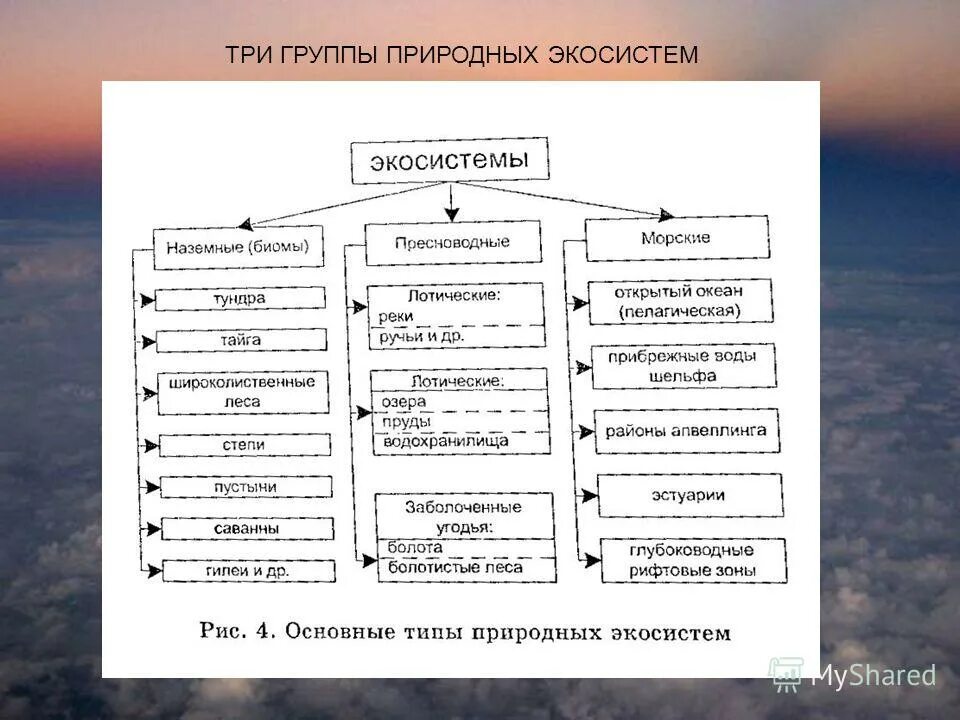 виды естественных экосистем. классификация экологических систем. жкологическаяси ситема. классификация экосистем схема. классификация экосистем схема.