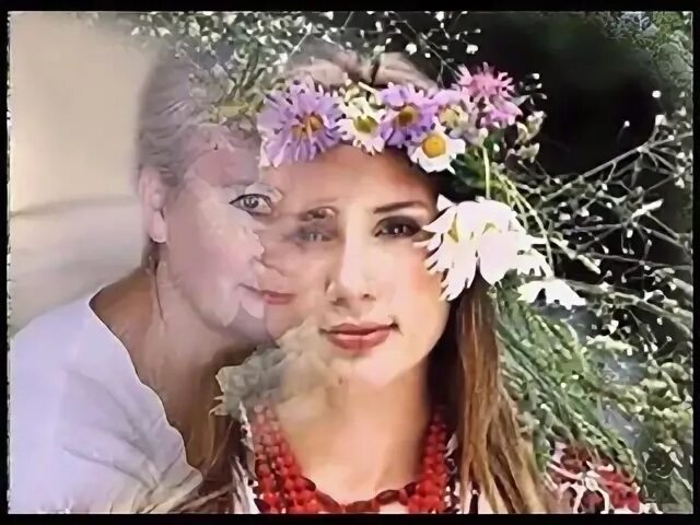 Песня черемшина гнатюк. Песня черемшина гнатюк