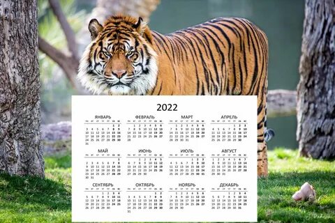 Calendar 2022