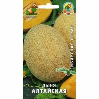 Дыня алтайская описание сорта