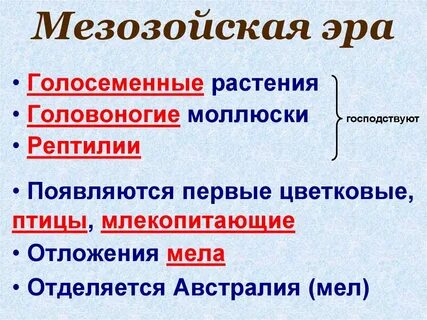 Эра господства голосеменных растений