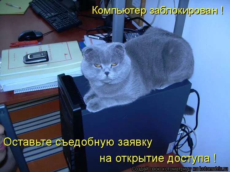Лучше нет интернет