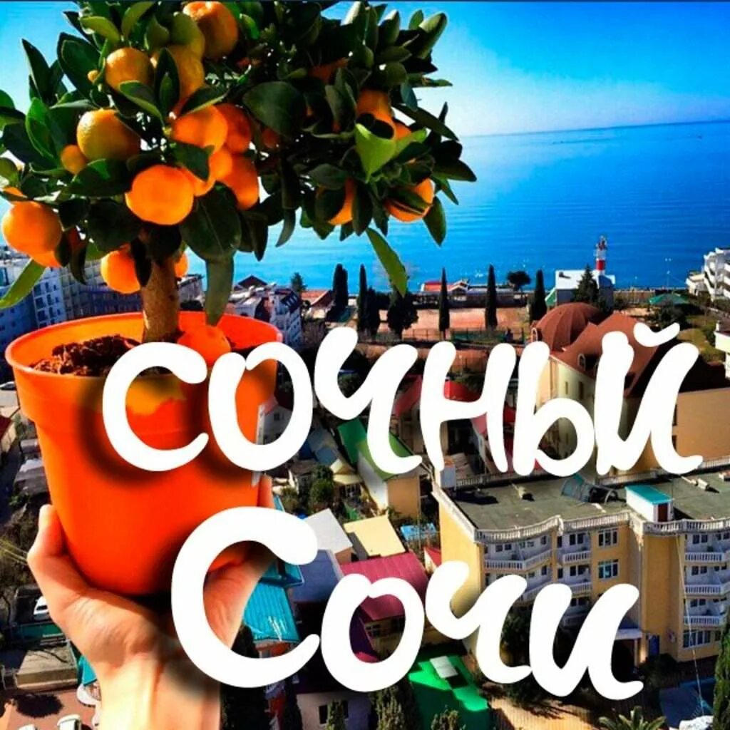 Сочи горит тур. Сочи надпись. тур в сочи. сочи раннее бронирование. горящий тур в сочи.