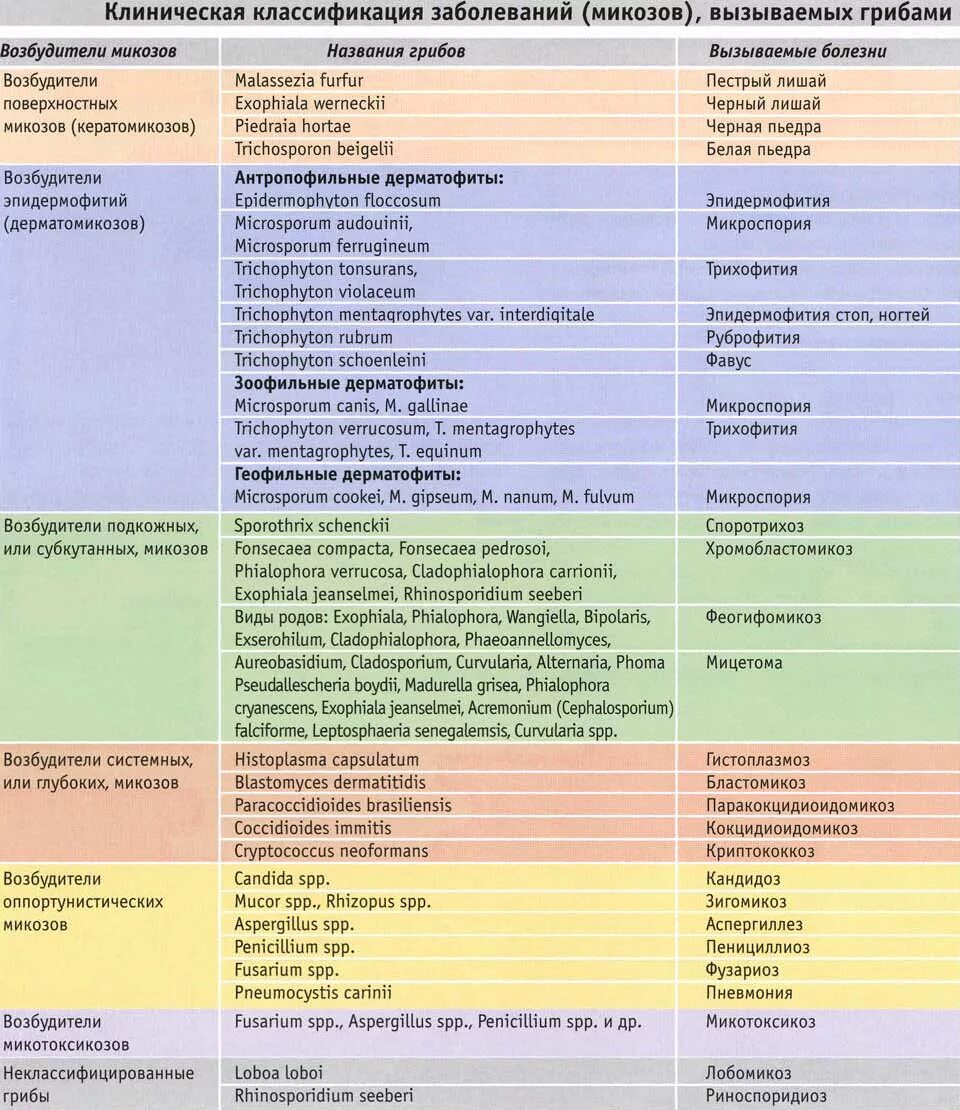 Каких следующих заболеваний. Классификация микозов. Классификация микозов таблица. Классификация митоза. Классификация грибковых инфекций.