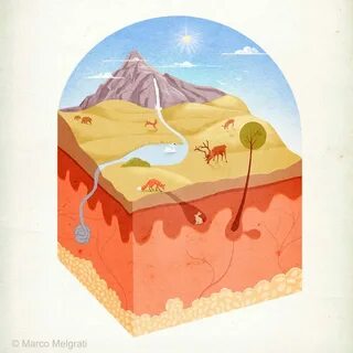 Environment skin