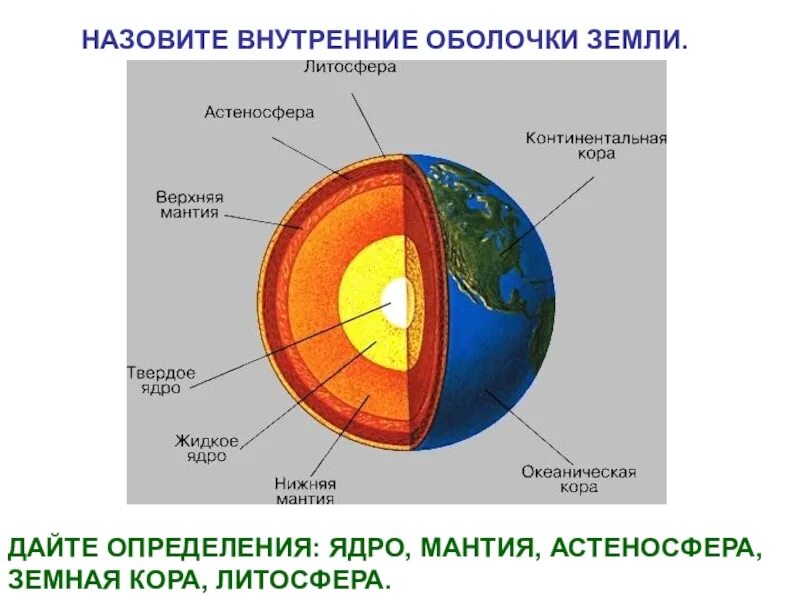 Как называется самая верхняя оболочка