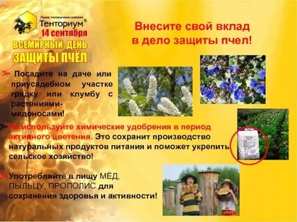 Защитим пчел