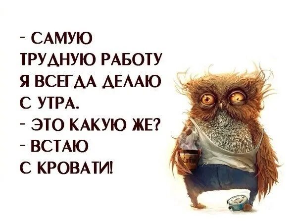 Утро работа среда. Среда цитаты смешные. статусы про среду смешные. смешные фразы про среду. цитаты про среду прикольные.