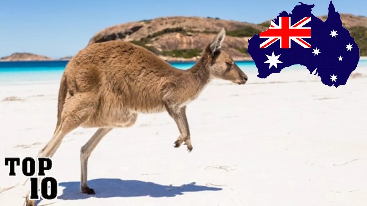 Down under pots in australia. Работа в австралии. Австралия ассоциации. Австралия ассоциации. Live in australia.