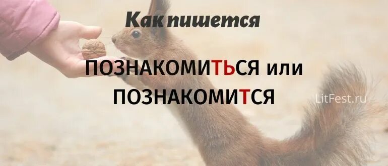 Знакомьтесь или знакомтесь как