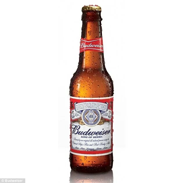 Can and beer. Can and beer