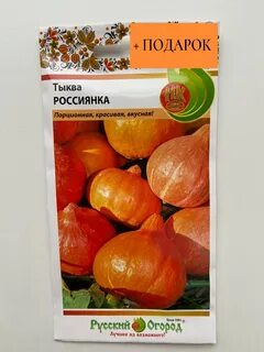 Тыква россиянка