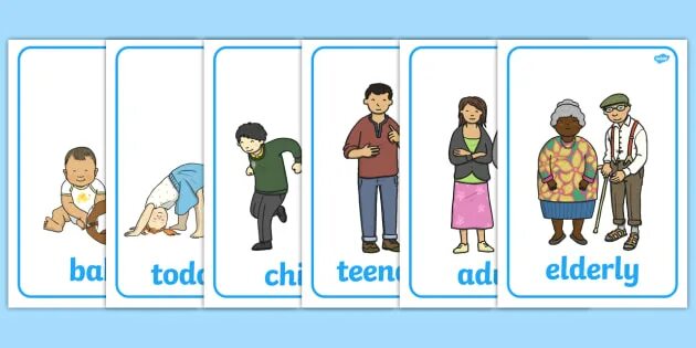 Human Life Cycle Stages. Stages in Life. Stages of Life. Stages of Life in English. How many person