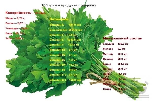 Петрушка укроп состав витаминов. Пищевая энергетическая ценность петрушка укроп. Укроп (100 гр) петрушка (100 гр) кинза (100 гр) лук зелёный. Какие витамины Ив петрушке. Сколько калорий в укропе