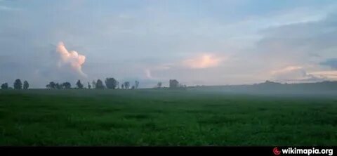 Погода в волосово на 14 дней