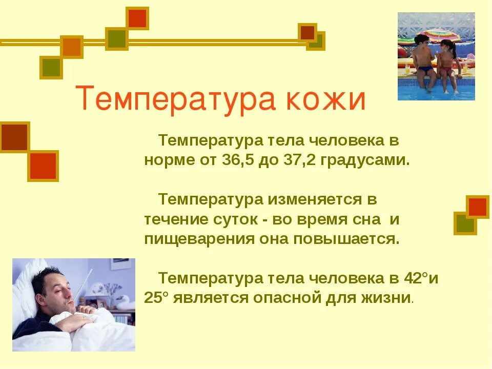 Значение кожи 3 класс окружающий мир. Проект на тему кожа человека. кожа человека презентация. презентация кожа человека 3 класс. сообщение на тему защита организма.