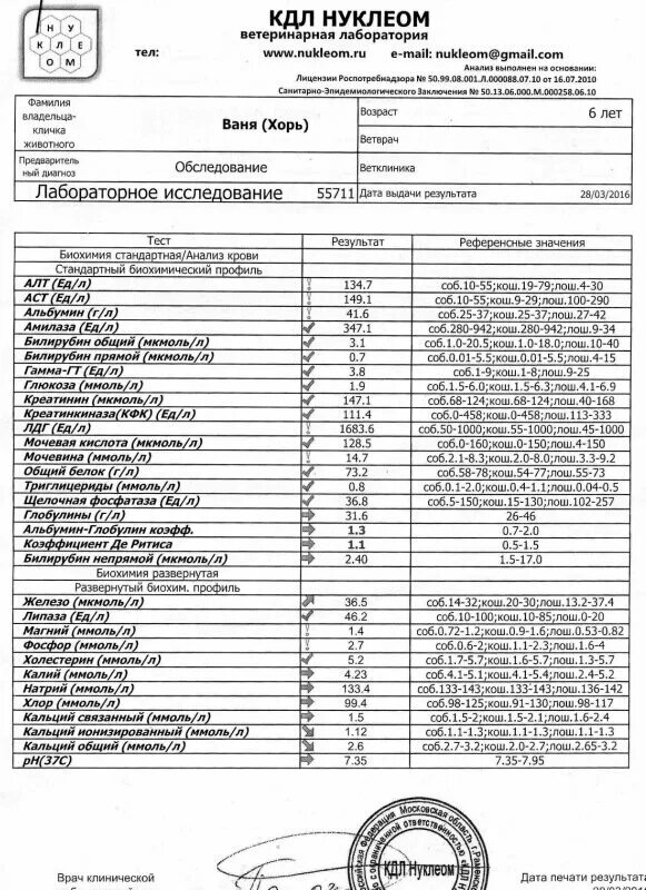 Кдл моча цена. Биохимический анализ крови КДЛ. Биохимическое исследование крови КДЛ. Анализы крови хорьков норма. Биохимические показатели крови у хорька норма.