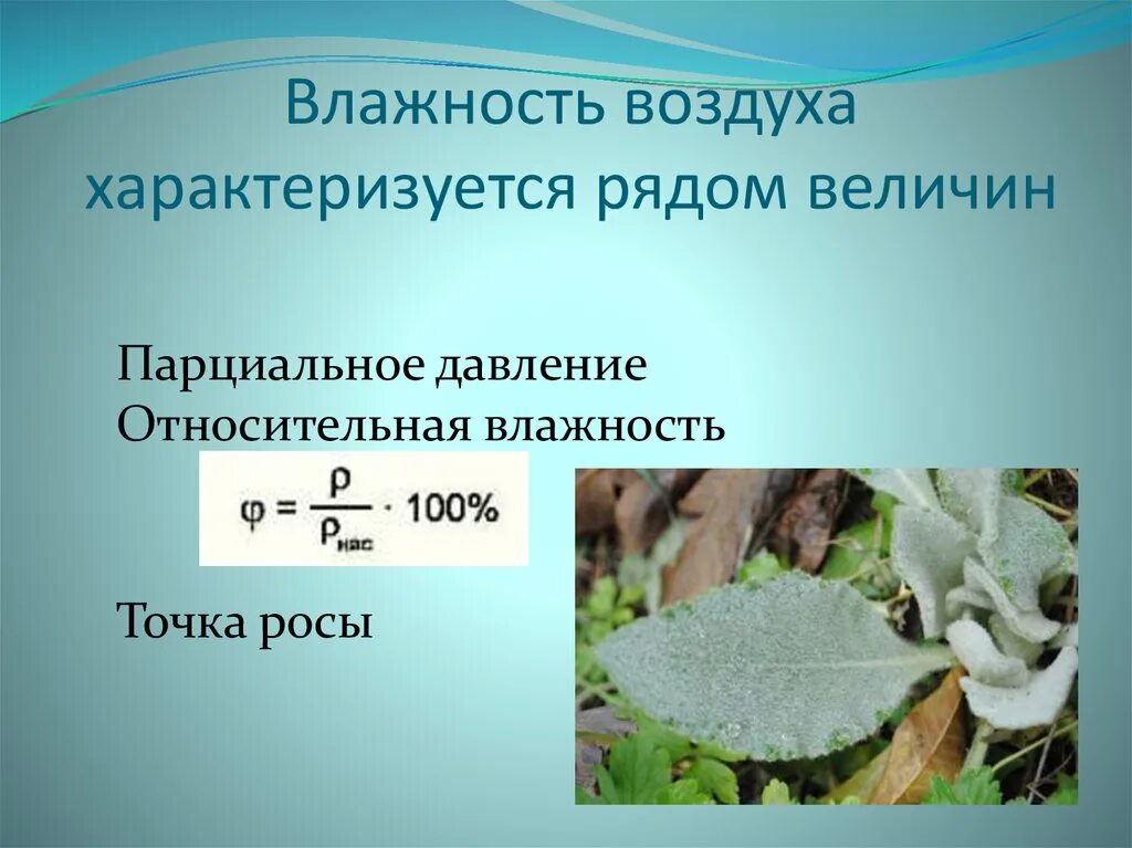 Определяющий фактор влажности. Влажность воздуха характеризуется. Что характеризует Относительная влажность воздуха. Физические величины характеризующие влажность воздуха. Относительная влажность характеризуется:.