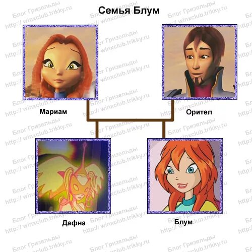 Кто озвучивал блум из винкс. Родители блум из винкс имена. семейное древо блум винкс. мать блум винкс. клуб винкс семья блум.