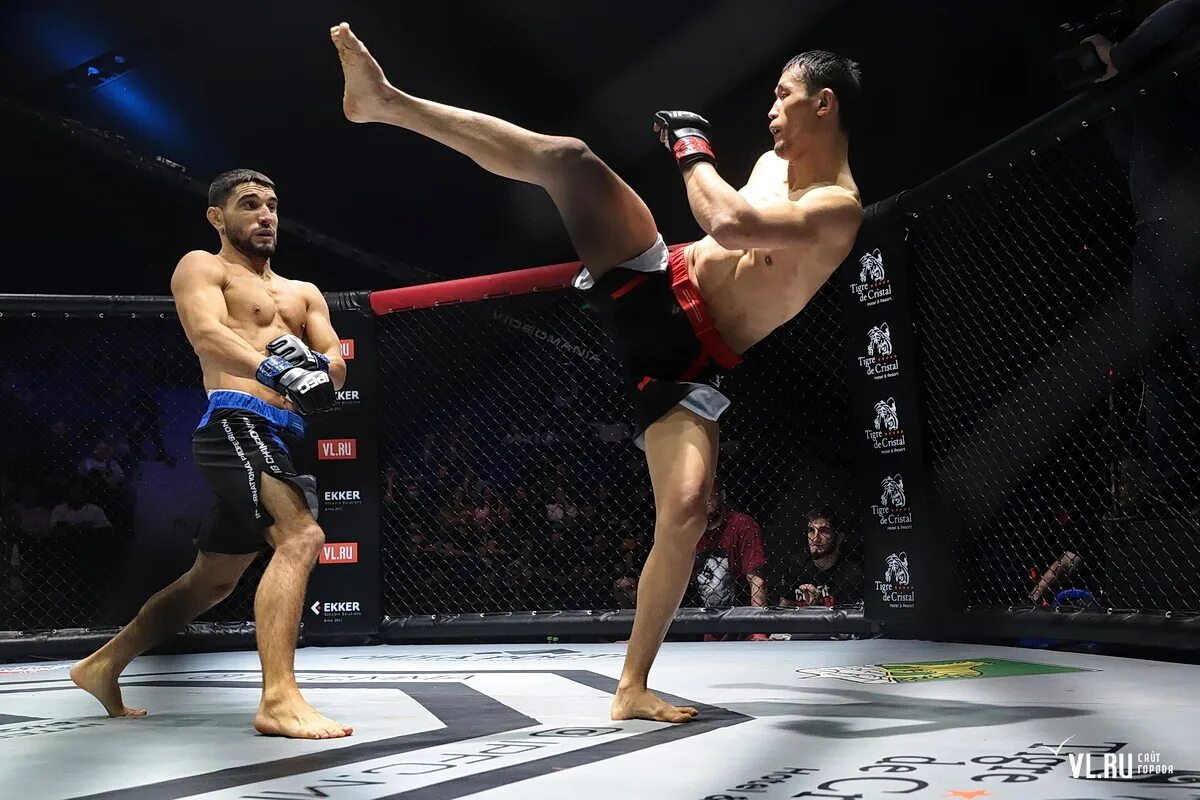 Андрей арловский трэвис браун. Бои 5 букв. Мовсар евлоев хаким даводу. Рэнди кутюр боец. Рапира фехтование в средневековье.