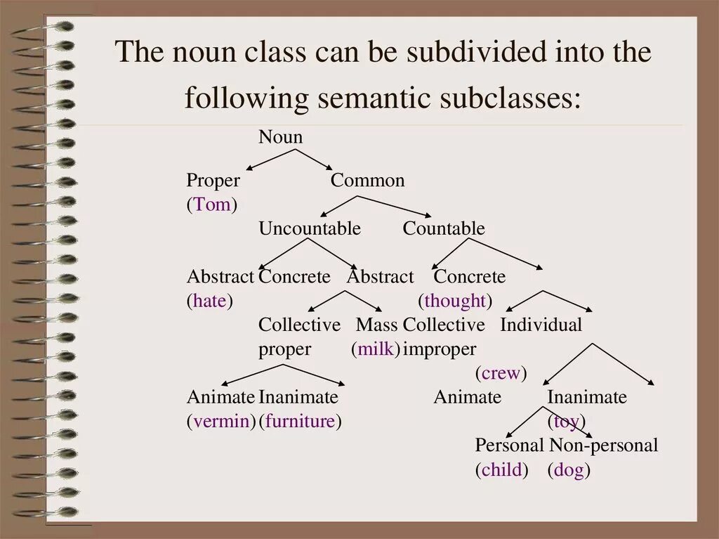 Common and different. Class Nouns в английском. Nouns грамматика. Types of Nouns in English. Теория " the Noun ".
