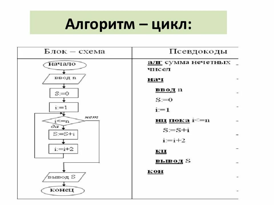 Информатика 7 класс циклы. Циклический алгоритм блок схема Информатика. Циклический алгоритм на алгоритмическом языке. Циклический алгоритм цикл пример. Циклический алгоритм цикл пока.