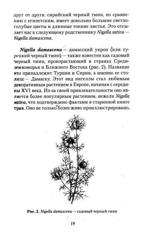 Текст песни черный тмин. Книга черный тмин. Король растений черный тмин. Книги лечение чёрным тмином. Книга черный тмин профилактика лечение заболеваний.