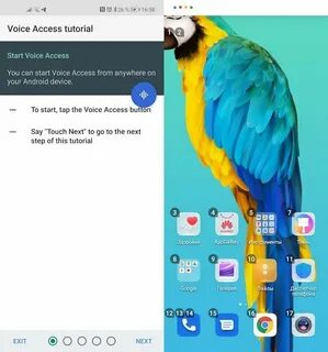 Voice access