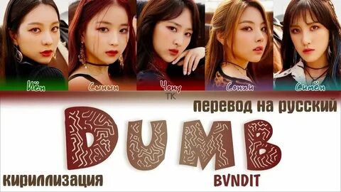 Everyone is dumb перевод