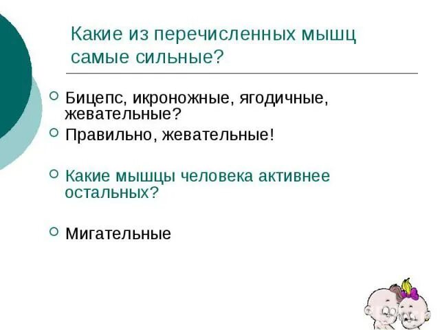 Какая из перечисленных мышц. Самая сильная мышца в теле человека.