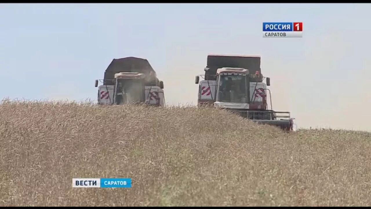 Галахово екатериновского района саратовской области. Екатериновский район Саратовская область. Село Галахово Екатериновского района Саратовской области. Крутояр Саратовская область Екатериновский район. Андреевка Саратовская область Екатериновский район.